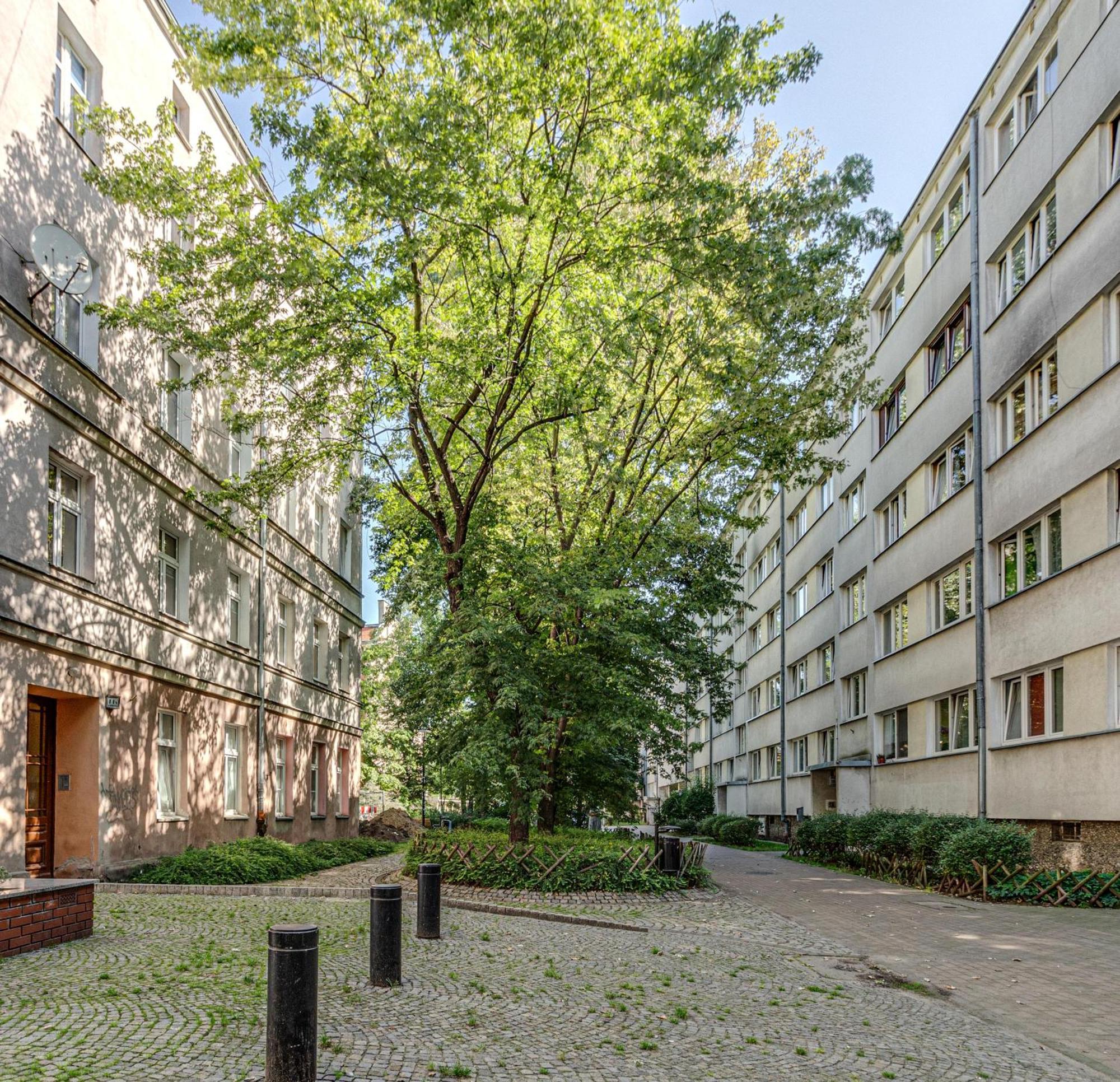 Rentplanet - Studio Nadodrze Wroclaw Bagian luar foto